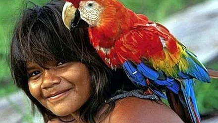 india_amazonia-