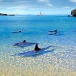 La-Paz-baja-california