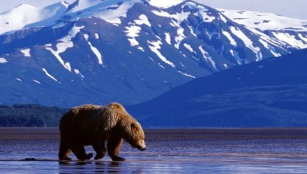 Alaska