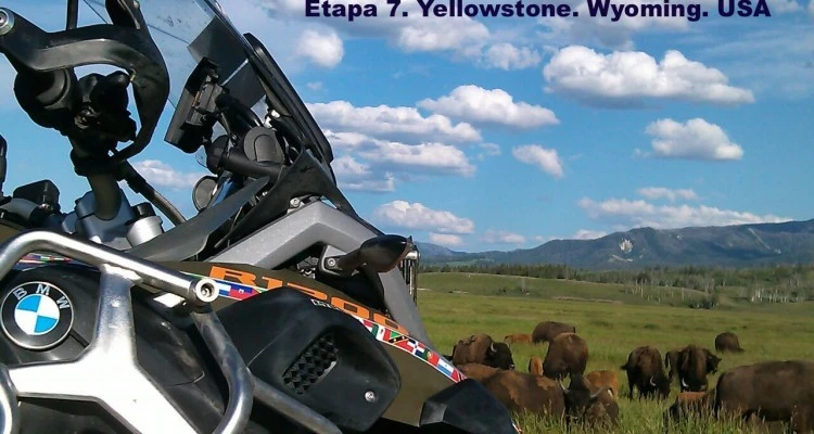 Bisontes y moto